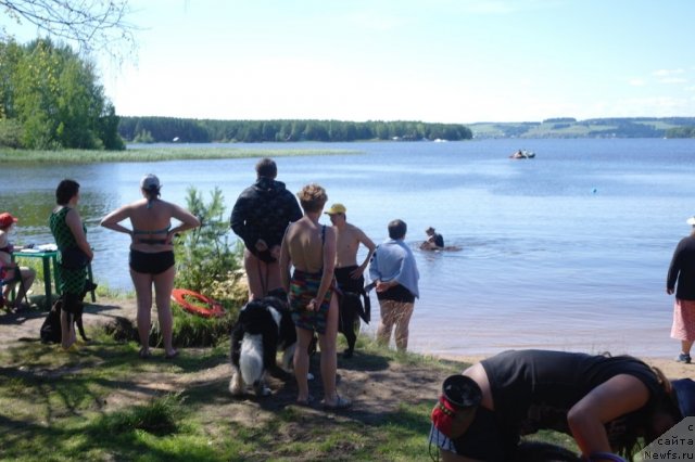 Фотография № 73975