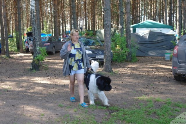 Фотография № 73977