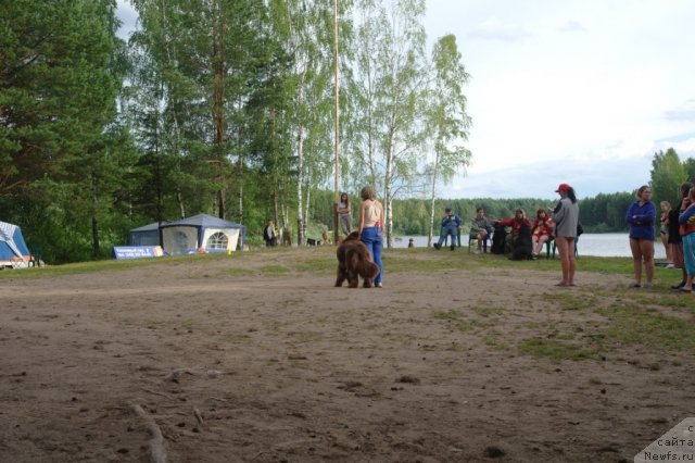 Фотография № 73978