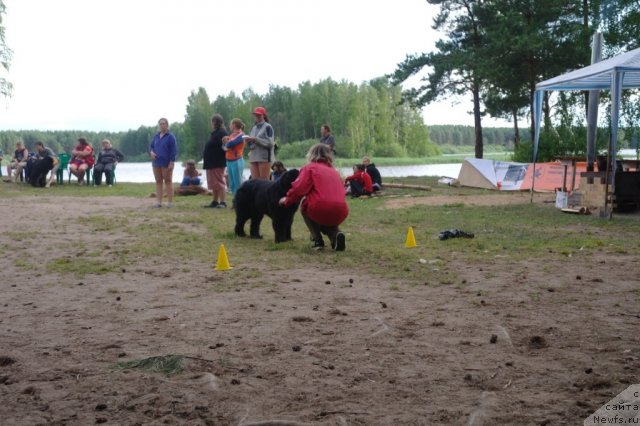 Фотография № 73979