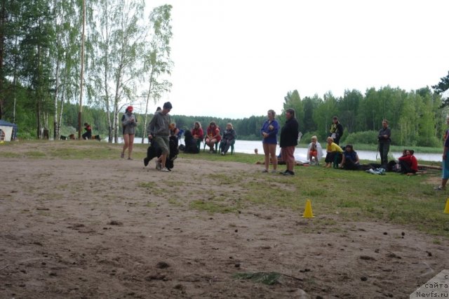 Фотография № 73980