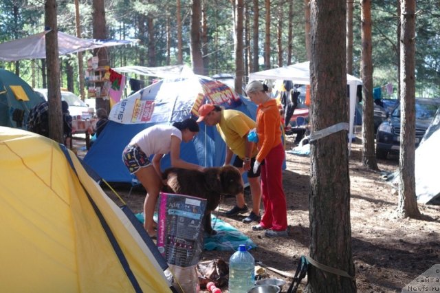 Фотография № 73981