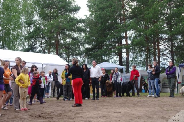 Фотография № 73982