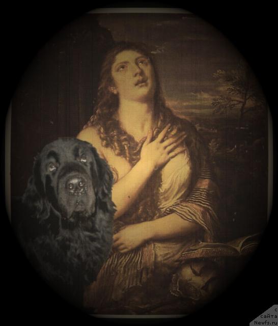 Фотография № 7400