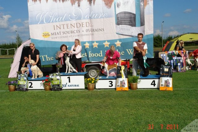 Фотография № 74024