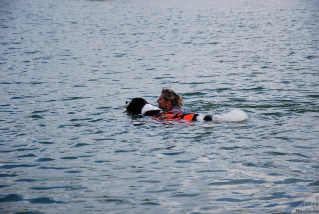 Фотография № 74027