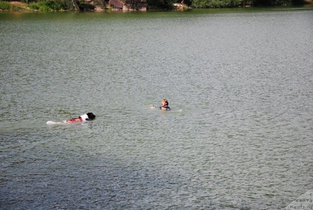 Фотография № 74028