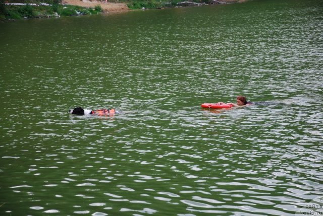 Фотография № 74031