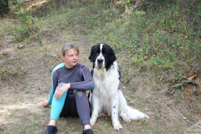 Фотография № 74033