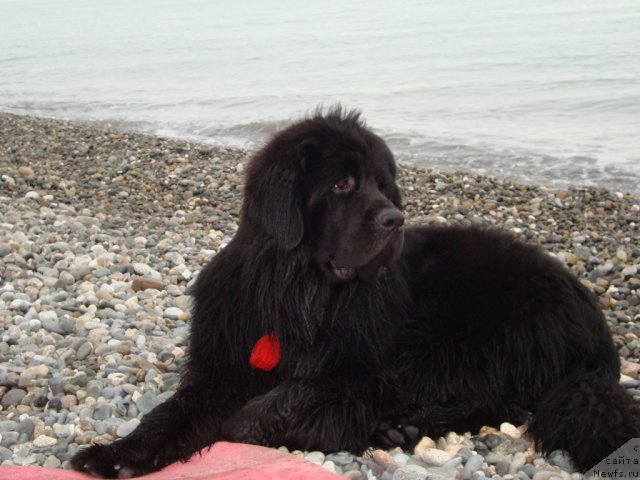 Фото: Елена Гриценко