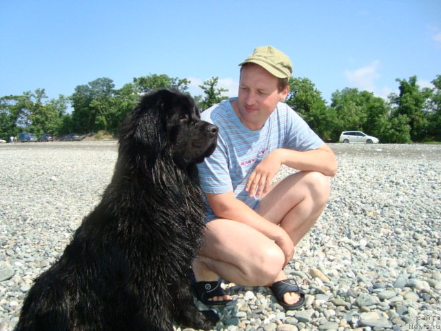 Фотография № 74074