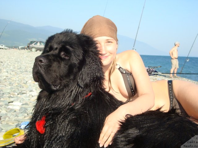 Фотография № 74076