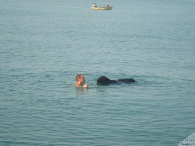 Фотография № 74077