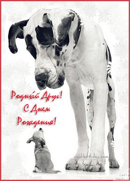 Фотография № 74095