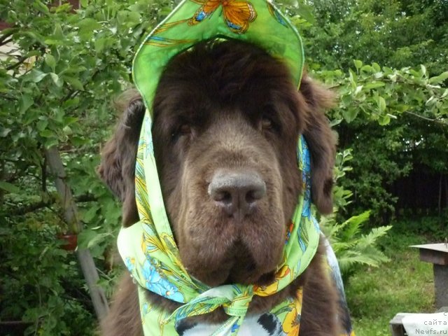 Фотография № 74144