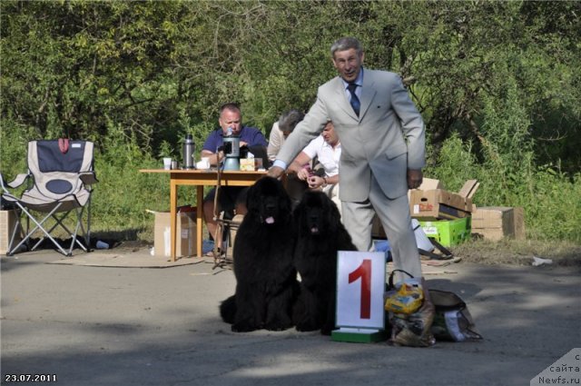 Фотография № 74192