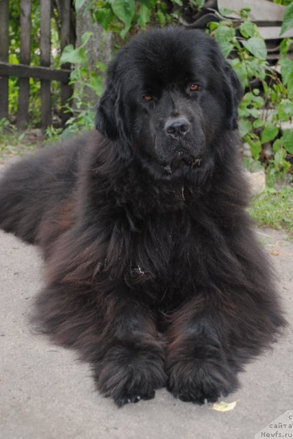 Фотография № 74194