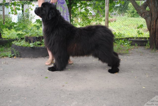 Фотография № 74195