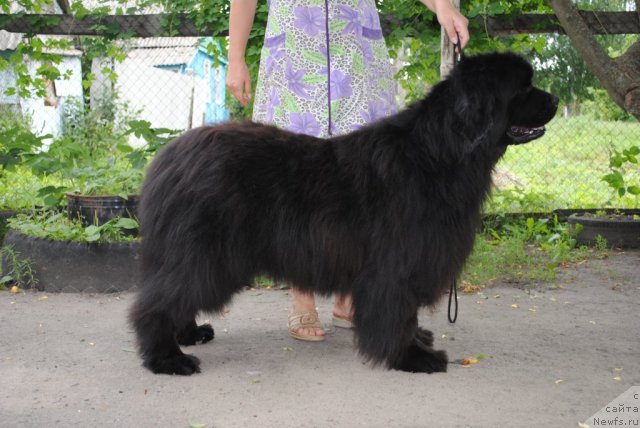 Фотография № 74196