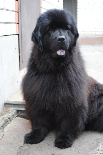 Фотография № 74197