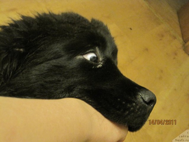 Фото: Лена Зырина