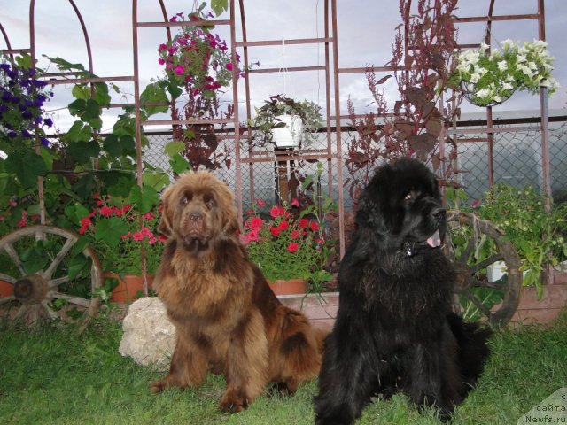 Фотография № 74210