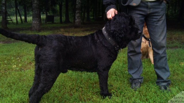 Фотография № 74356