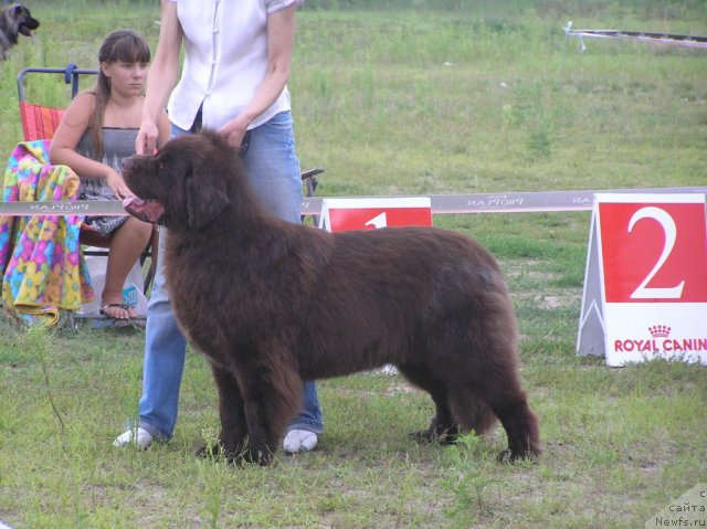 Фотография № 74367