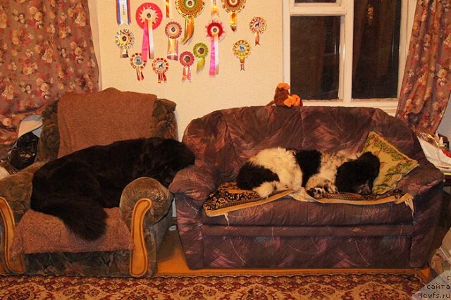 Фотография № 74405