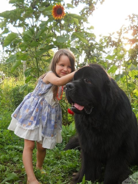 Фотография № 74442