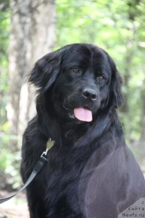 Фотография № 74452