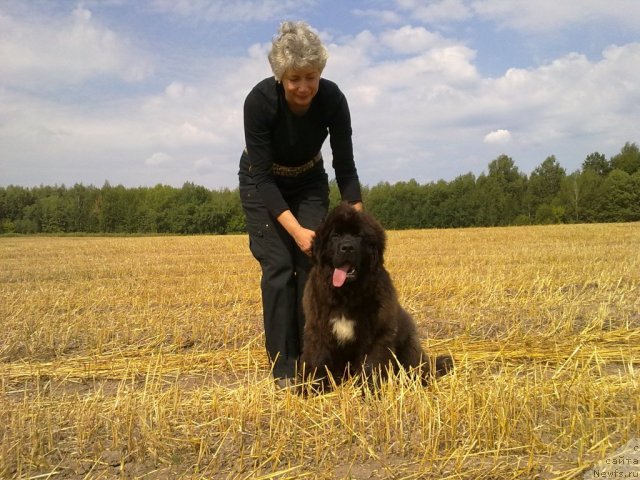 Фотография № 74510