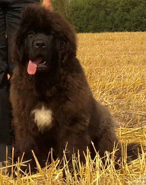 Фотография № 74516