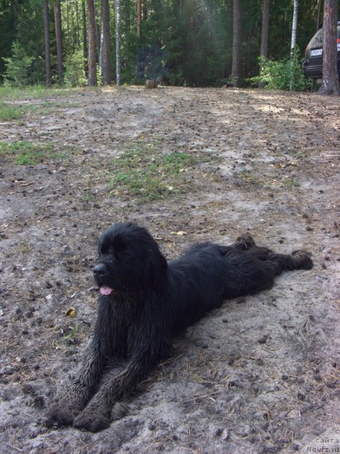 Фотография № 74547