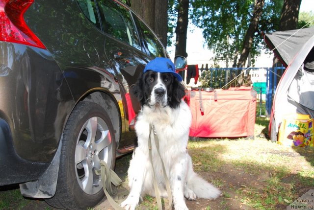 Фотография № 74565