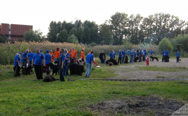 Фотография № 74567