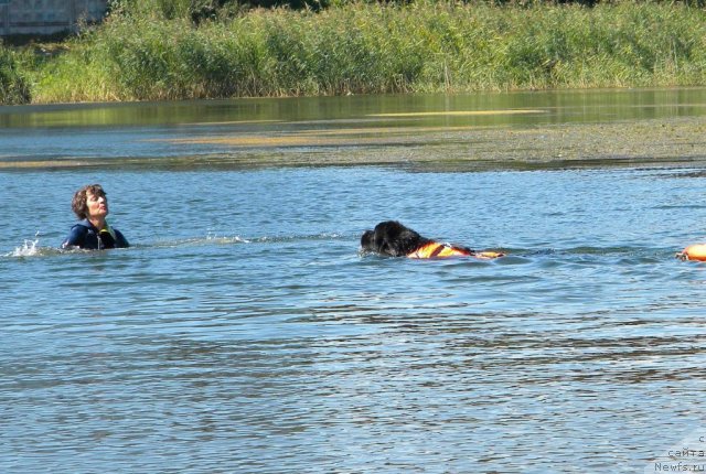 Фотография № 74574