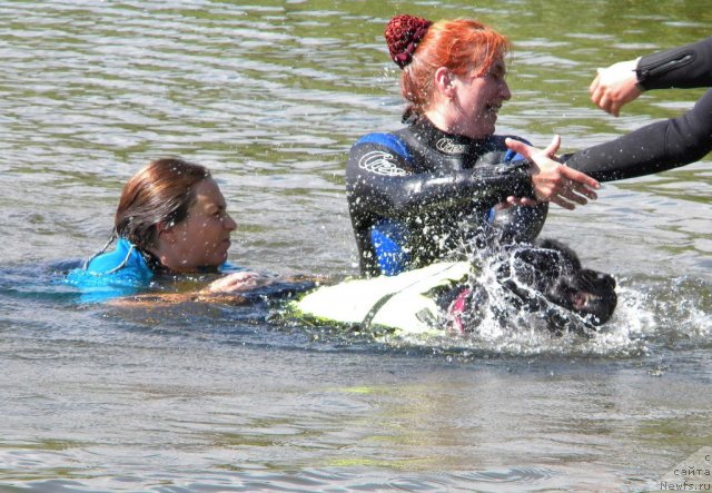 Фотография № 74580