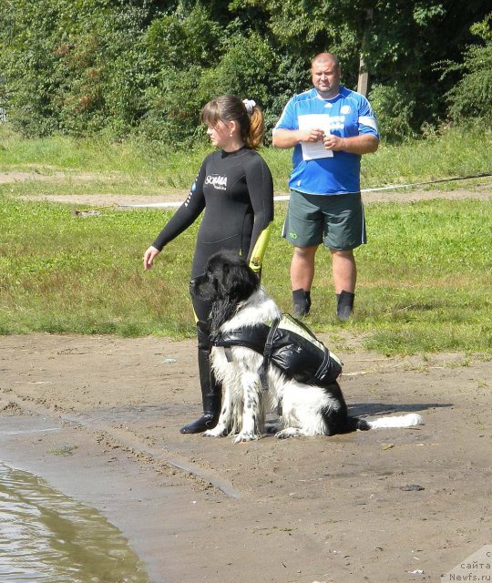 Фотография № 74594