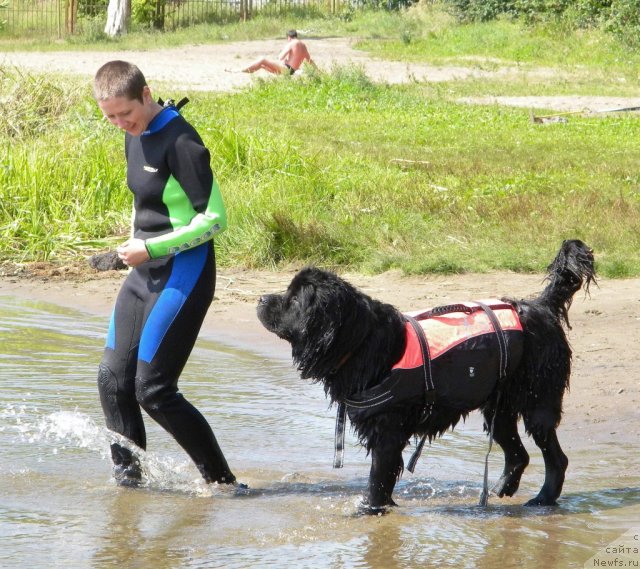 Фотография № 74603