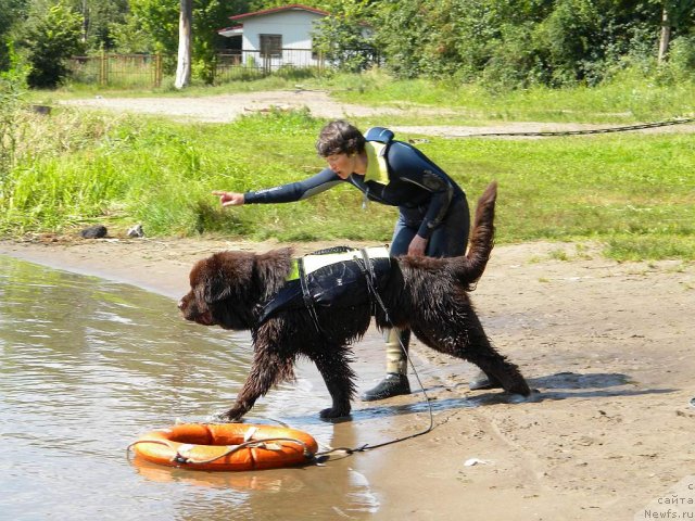 Фотография № 74608