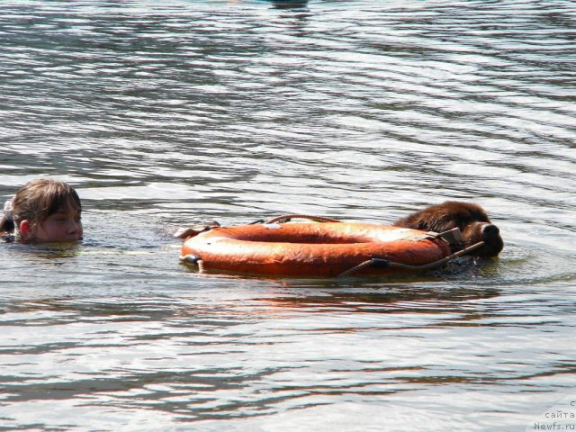 Фотография № 74610