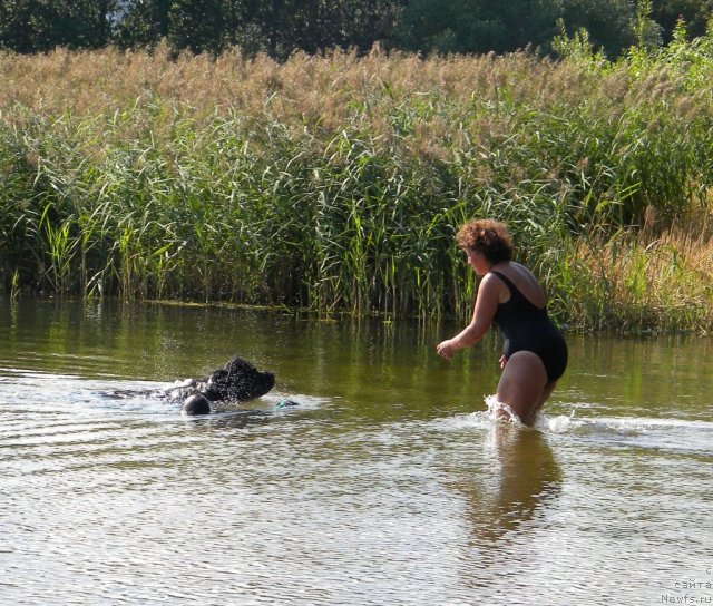 Фотография № 74612