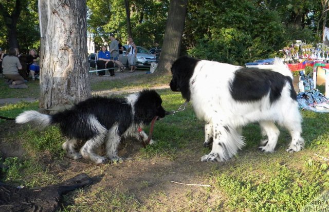 Фотография № 74619