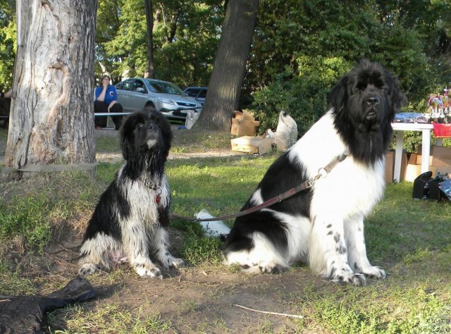 Фотография № 74622