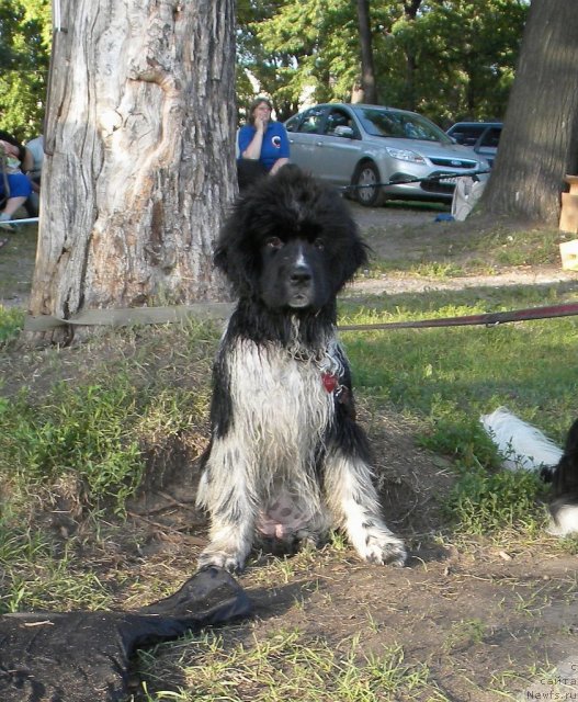 Фотография № 74623