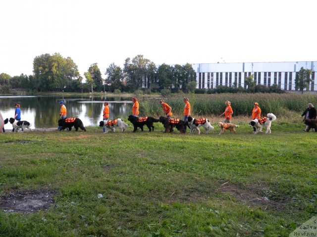 Фотография № 74630