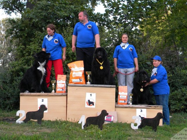 Фотография № 74634