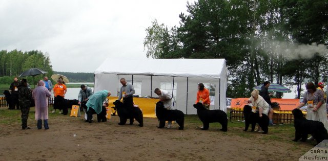 Фотография № 74638