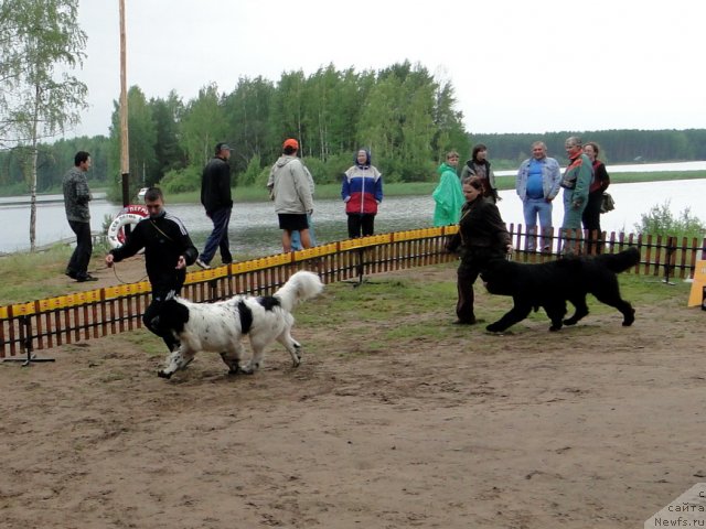 Фотография № 74639